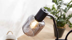 Schreibtischlampe mit schwarzem Sockel, rauchfarbenem Glasschirm und sichtbarer Filamentlampe auf heller Holzoberfläche.
