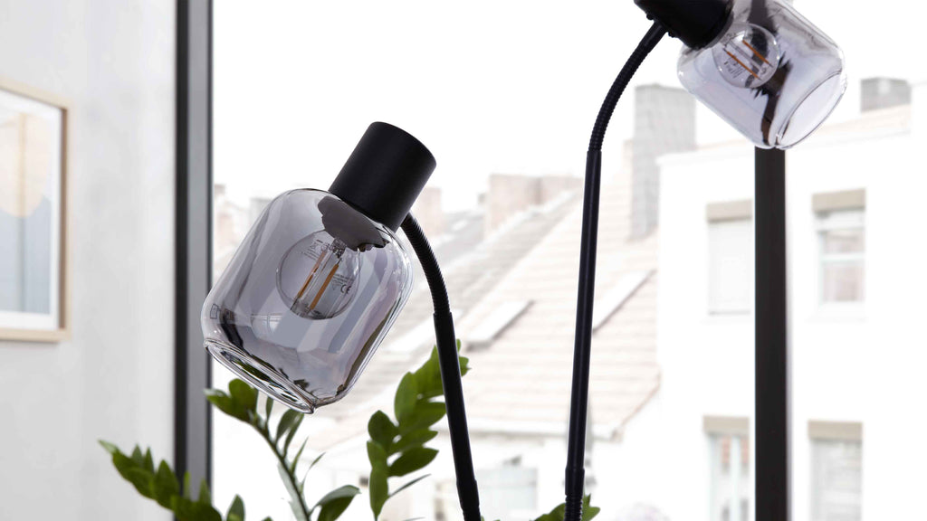 Zwei schwarze Lampen mit flexiblen Schwanenhälsen und rauchgrauen Glaslampenschirmen stehen vor einem Fenster, Pflanzen im Vordergrund.
