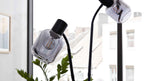 Zwei schwarze Lampen mit flexiblen Schwanenhälsen und rauchgrauen Glaslampenschirmen stehen vor einem Fenster, Pflanzen im Vordergrund.