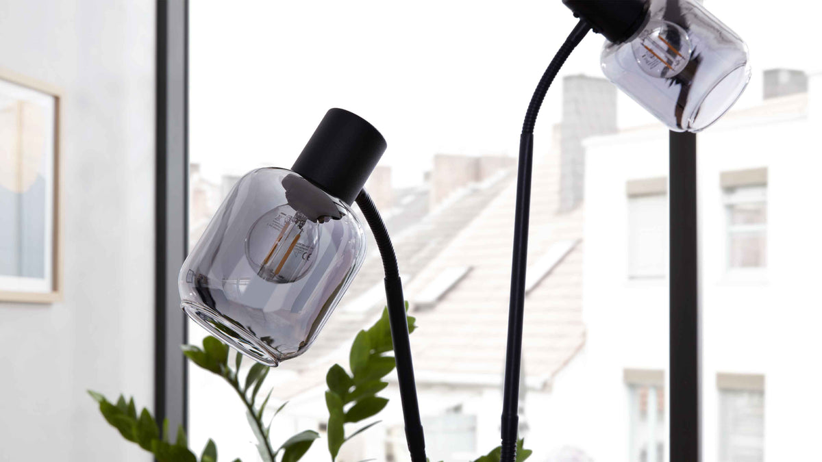 Zwei schwarze Lampen mit flexiblen Schwanenhälsen und rauchgrauen Glaslampenschirmen stehen vor einem Fenster, Pflanzen im Vordergrund.