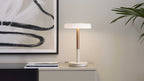 Tischlampe mit rundem weißem Schirm, goldfarbenem Schaft und Basis auf Sideboard neben gerahmtem abstrakten Bild, Heften und Pflanzenblatt.