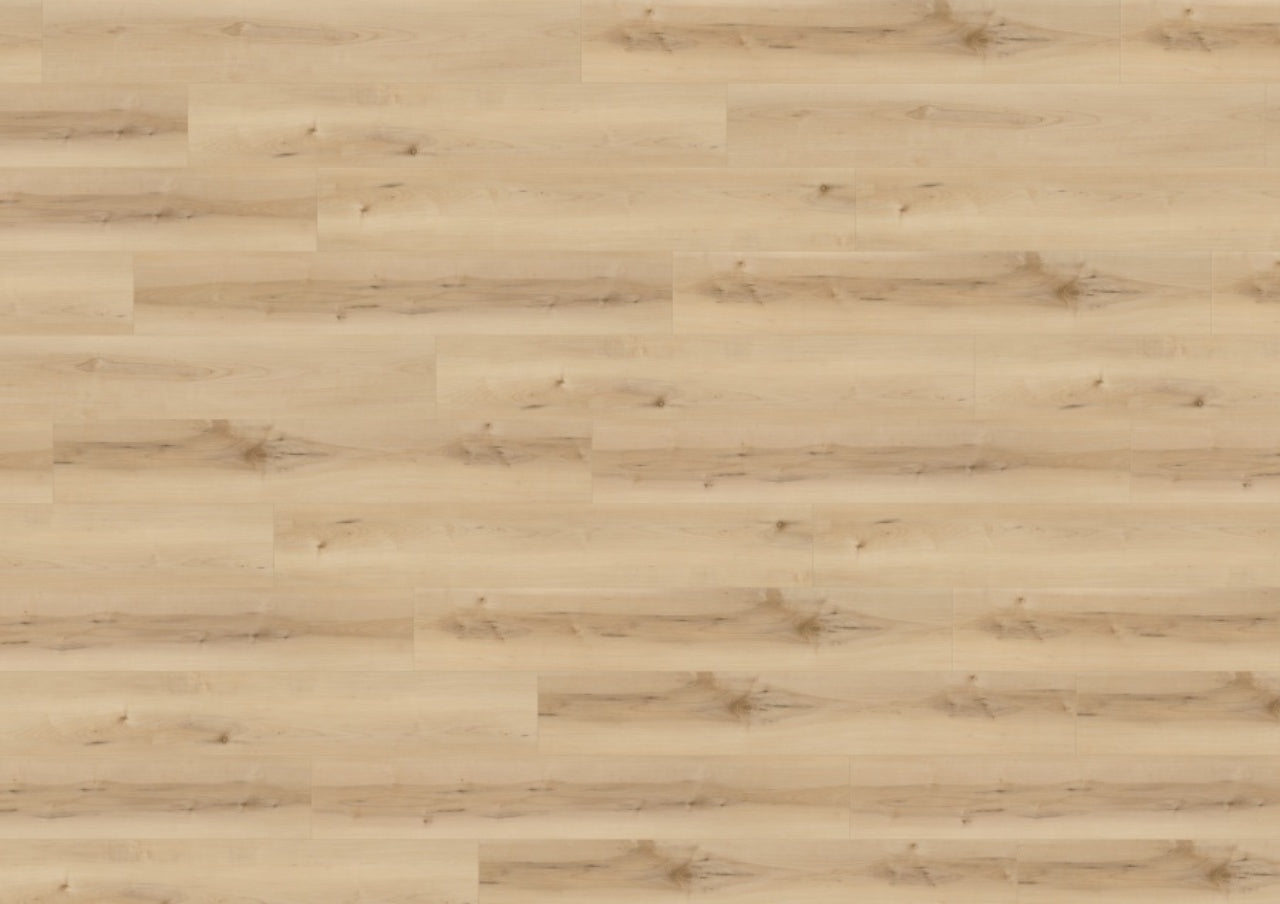 Wineo Designboden 400 Wood XL: helle Holzoptik, natürliche Maserung, dezente Astlöcher und integrierte Unterlage für mehr Komfort.