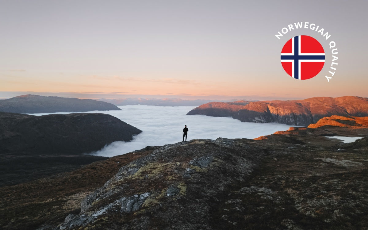 Stressless Bild Norwegen