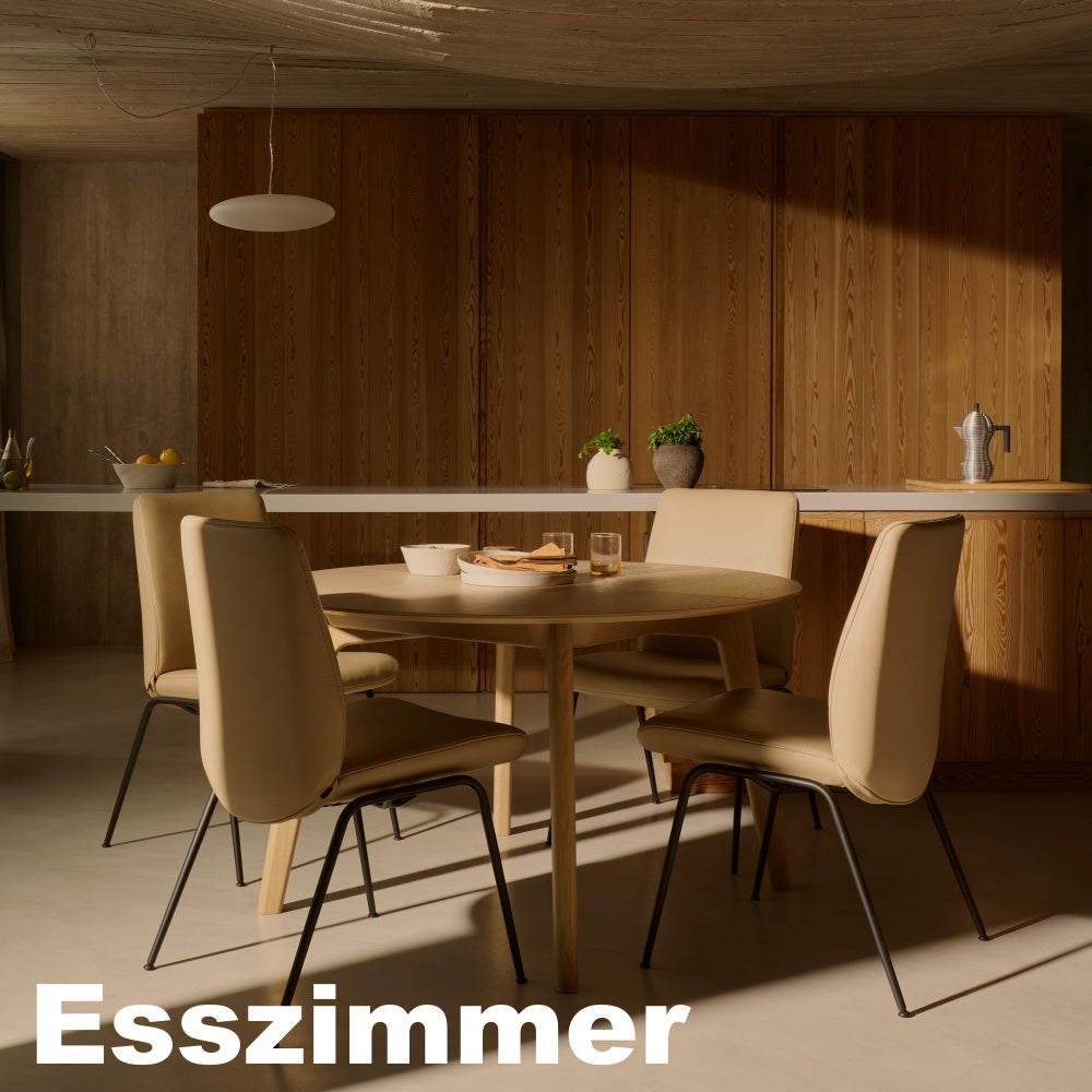 Stressless Musterbild Esszimmer Stühle