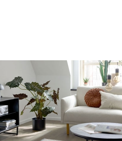 Roomio Musterbild Wohnzimmer